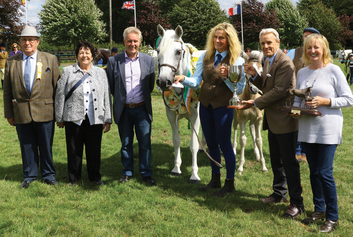 Midlands Connemara Pony Breeders Group